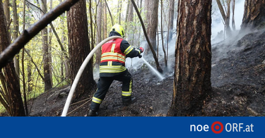 OpenGraph image for noe.orf.at/stories/3127355/