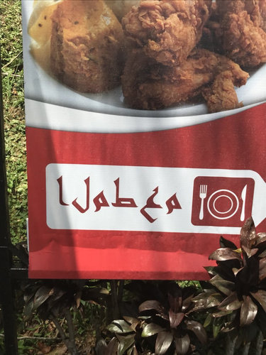 OpenGraph image for nopenotarabic.tumblr.com/post/171091190648/spotted-in-peleng-island-by-my-parents-who