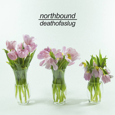 OpenGraph image for northboundfl.bandcamp.com/track/actor-2