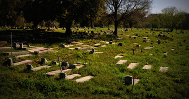 OpenGraph image for nymag.com/daily/intelligencer/2018/05/africatown-and-the-21st-century-stain-of-slavery.html