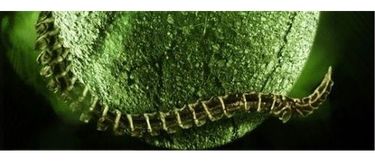 OpenGraph image for olh.openlibhums.org/articles/10.16995/olh.238/