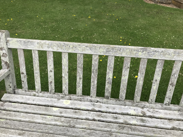 OpenGraph image for openbenches.org/bench/737