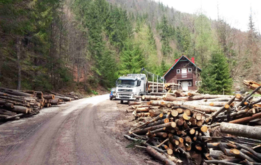 OpenGraph image for oxiblog.de/kahlschlag-im-maerchenwald/