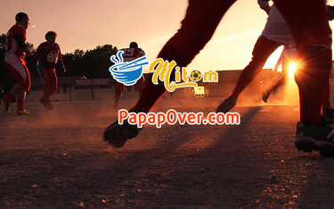 OpenGraph image for papapover.com/en/