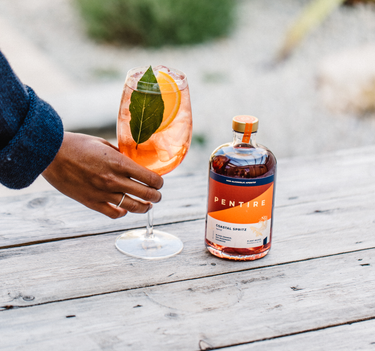 OpenGraph image for pentiredrinks.com