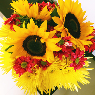 OpenGraph image for photo.cate.blog/2017/02/sunflowers-i-miss-colombia/