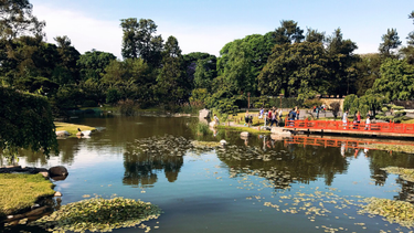 OpenGraph image for photo.cate.blog/2017/03/japanese-garden-in-ba/