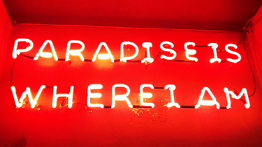 OpenGraph image for photo.cate.blog/2017/03/paradise-is/