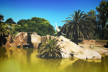 OpenGraph image for photo.cate.blog/2017/03/roaming-montevideo-%f0%9f%98%8d/