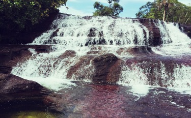 OpenGraph image for photo.cate.blog/2017/03/the-river-of-five-colors-colombia/