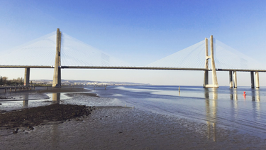 OpenGraph image for photo.cate.blog/2017/04/bridge-%f0%9f%8c%89/