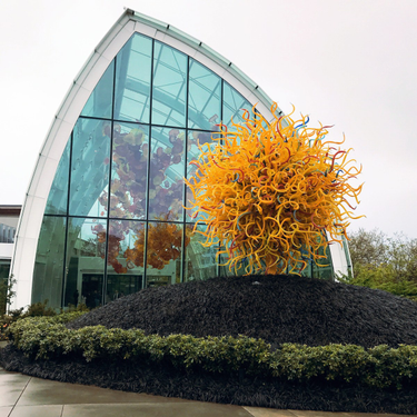 OpenGraph image for photo.cate.blog/2017/04/chihuly-%f0%9f%92%9c/