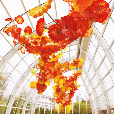 OpenGraph image for photo.cate.blog/2017/04/chihuly-glass-house-%f0%9f%8c%ba/