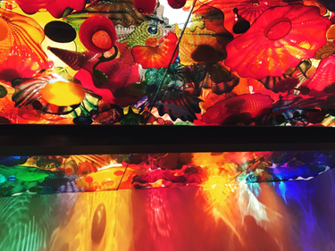 OpenGraph image for photo.cate.blog/2017/04/glass-ceiling/