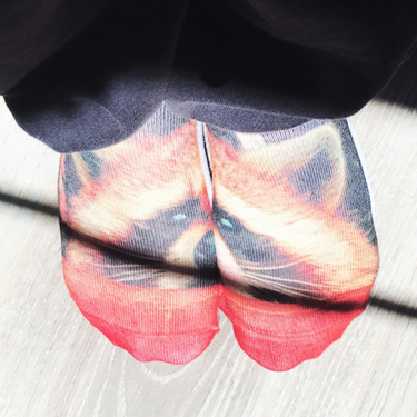 OpenGraph image for photo.cate.blog/2017/04/raccooooooooon/