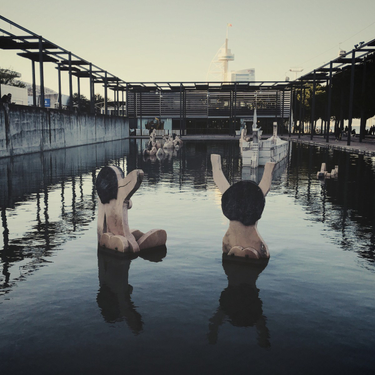 OpenGraph image for photo.cate.blog/2017/04/reflections/