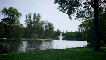 OpenGraph image for photo.cate.blog/2017/05/early-morning-walk-in-the-park-%f0%9f%8c%b3/