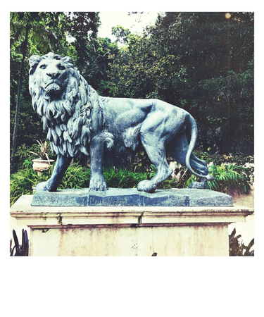 OpenGraph image for photo.cate.blog/2017/05/this-%f0%9f%a6%81-gives-no-fucks/