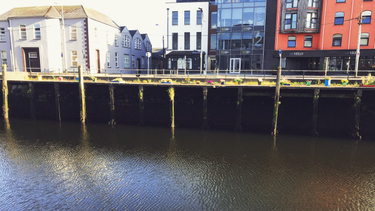 OpenGraph image for photo.cate.blog/2017/06/flowers-on-the-canal-%f0%9f%8c%ba/