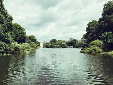 OpenGraph image for photo.cate.blog/2017/07/%f0%9f%8c%b3/