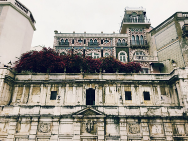 OpenGraph image for photo.cate.blog/2017/07/%f0%9f%a5%80/