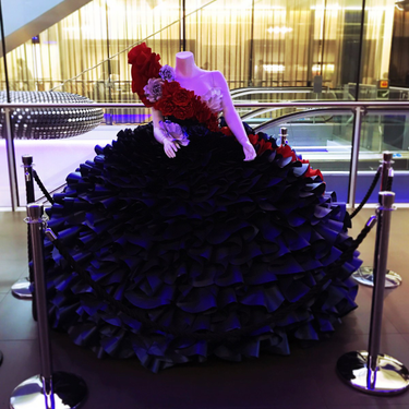 OpenGraph image for photo.cate.blog/2017/07/british-airways-the-dress-%f0%9f%91%97/