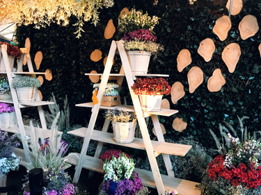 OpenGraph image for photo.cate.blog/2017/08/%f0%9f%8c%b8%f0%9f%8c%ba%f0%9f%8c%bc/