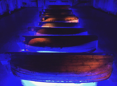 OpenGraph image for photo.cate.blog/2017/08/%f0%9f%9b%b6-2/