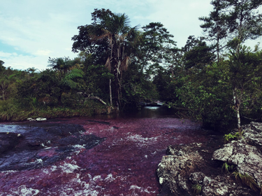 OpenGraph image for photo.cate.blog/2017/08/rio-rojo/