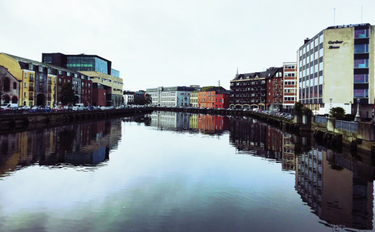 OpenGraph image for photo.cate.blog/2017/10/cork-2/