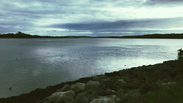 OpenGraph image for photo.cate.blog/2017/10/lee-river-%f0%9f%87%ae%f0%9f%87%aa/