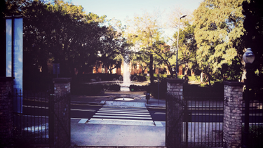 OpenGraph image for photo.cate.blog/2018/01/%e2%9b%b2%ef%b8%8f/