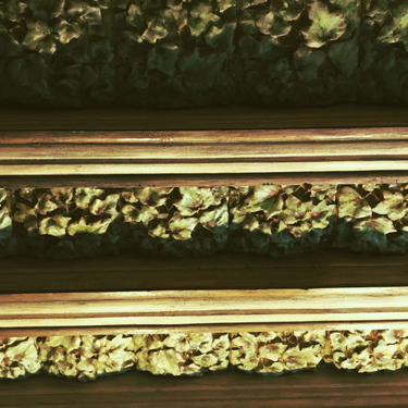 OpenGraph image for photo.cate.blog/2018/01/%f0%9f%8c%bf/