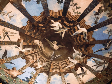 OpenGraph image for photo.cate.blog/2018/01/%f0%9f%95%8a/