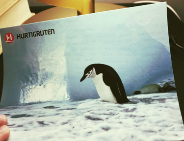 OpenGraph image for photo.cate.blog/2018/01/a-postcard-from-the-south-pole-%f0%9f%90%a7/