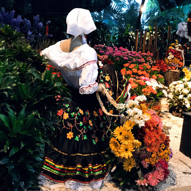 OpenGraph image for photo.cate.blog/2018/02/%f0%9f%8c%bb%f0%9f%8c%bb%f0%9f%8c%bb/