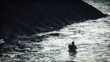 OpenGraph image for photo.cate.blog/2018/02/bird-alone/