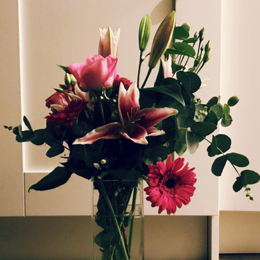 OpenGraph image for photo.cate.blog/2018/02/flowers-from-my-mom-%f0%9f%8c%ba%f0%9f%8c%b9/
