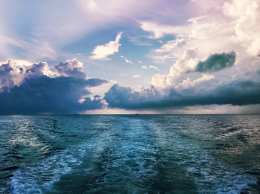 OpenGraph image for photo.cate.blog/2018/02/the-open-ocean-%f0%9f%8c%8a/