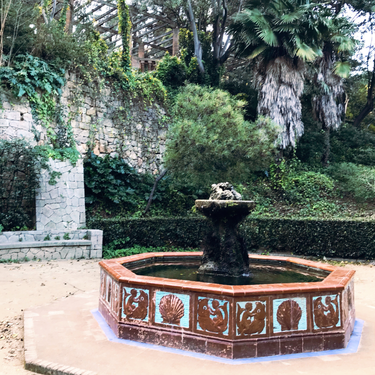 OpenGraph image for photo.cate.blog/2018/03/%e2%9b%b2%ef%b8%8f-2/