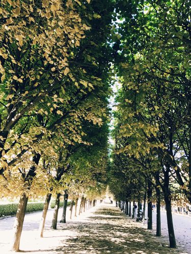 OpenGraph image for photo.cate.blog/2018/03/%f0%9f%8c%b3%f0%9f%8c%b3%f0%9f%8c%b3/