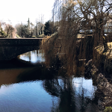 OpenGraph image for photo.cate.blog/2018/03/beautiful-morning-in-cork-%f0%9f%8d%83/