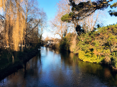 OpenGraph image for photo.cate.blog/2018/03/feels-like-spring-%f0%9f%8c%b3/