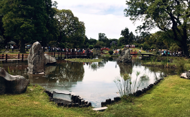 OpenGraph image for photo.cate.blog/2018/04/%f0%9f%8c%b3-2/