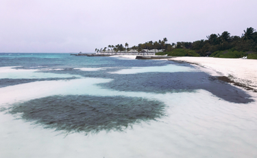 OpenGraph image for photo.cate.blog/2018/04/beach-in-the-maldives-%f0%9f%87%b2%f0%9f%87%bb/
