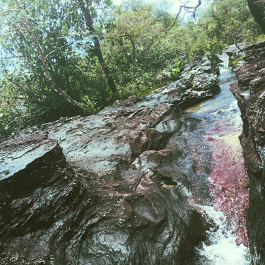 OpenGraph image for photo.cate.blog/2018/04/el-rio-de-cinco-colores-%f0%9f%87%a8%f0%9f%87%b4/