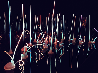 OpenGraph image for photo.cate.blog/2018/04/glowing-glass/