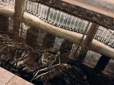 OpenGraph image for photo.cate.blog/2018/04/water/