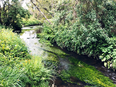 OpenGraph image for photo.cate.blog/2018/05/%f0%9f%87%ae%f0%9f%87%aa/