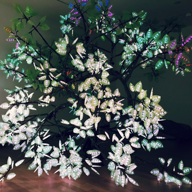 OpenGraph image for photo.cate.blog/2018/06/magic-%f0%9f%8c%b3/